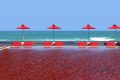 Turisti pronti a tuffarsi nella piscina rosso sangue